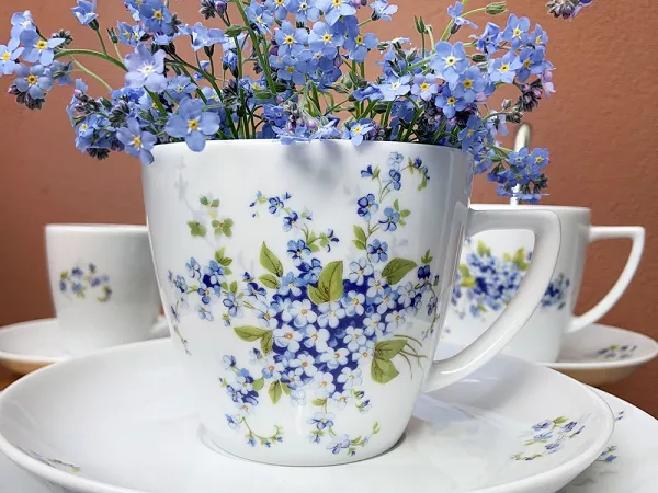 Filiżanka ze spodkiem 0,35 L / 17 cm Lubiana - Beata / Dorota 7218 Niezapominajka