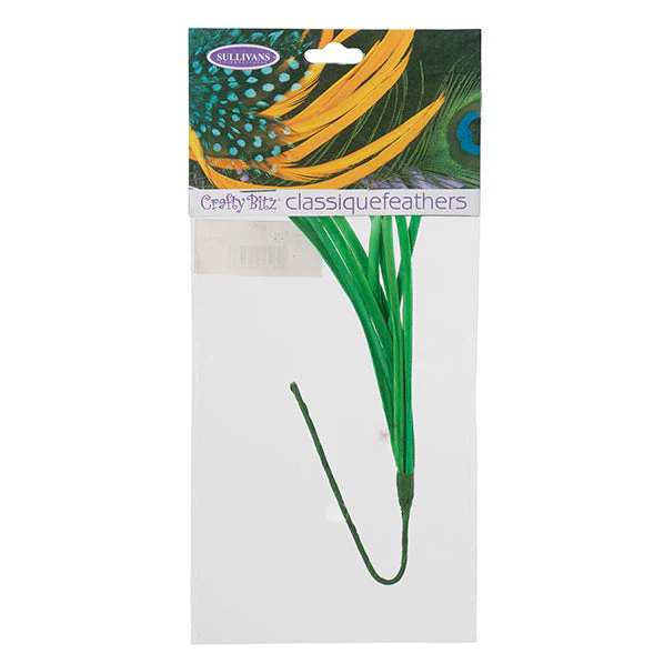 Feather Biot