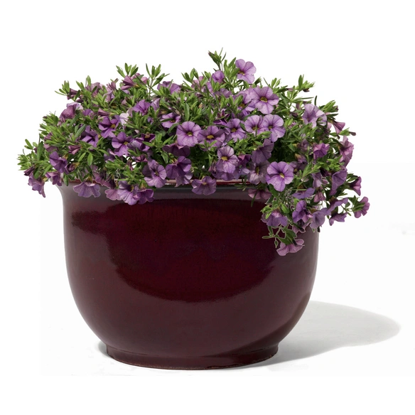 Pflanzgefäß »Ming«, seal red, 1 Stück
