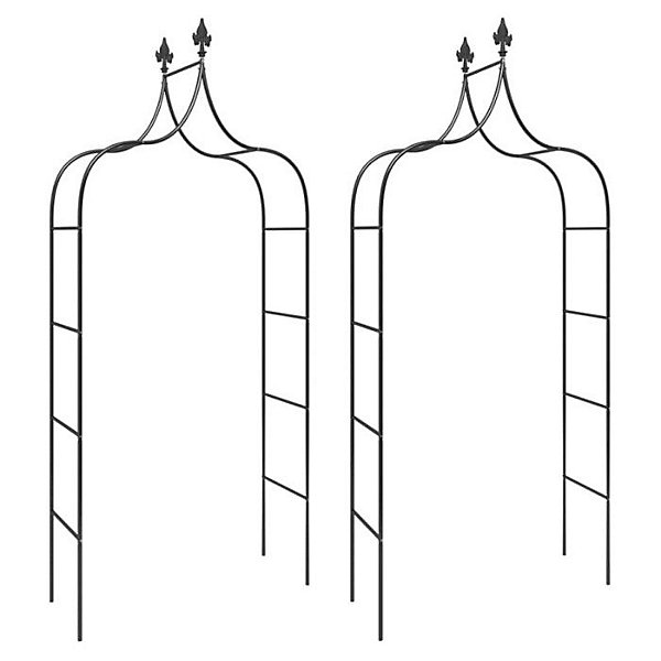 Arches de jardin 2 pcs Noir 120x38x260 cm Acier