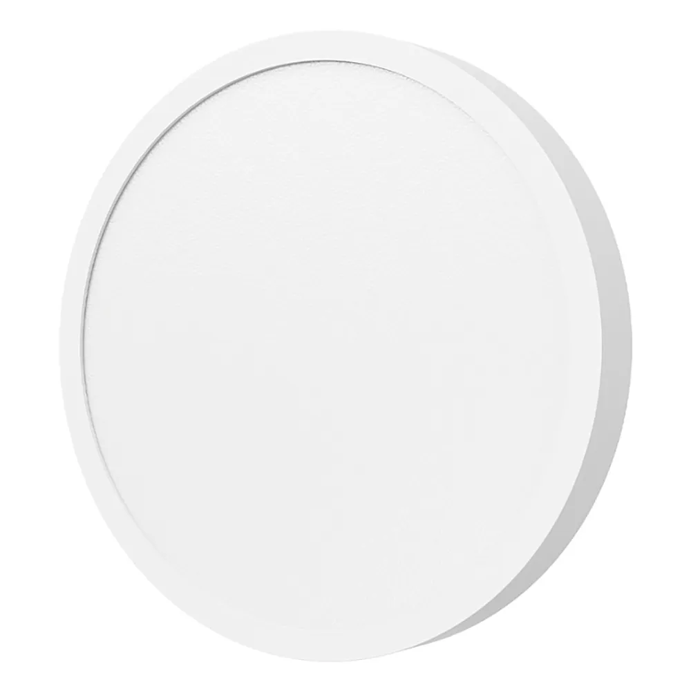 Xiaomi D20 Ceiling Light