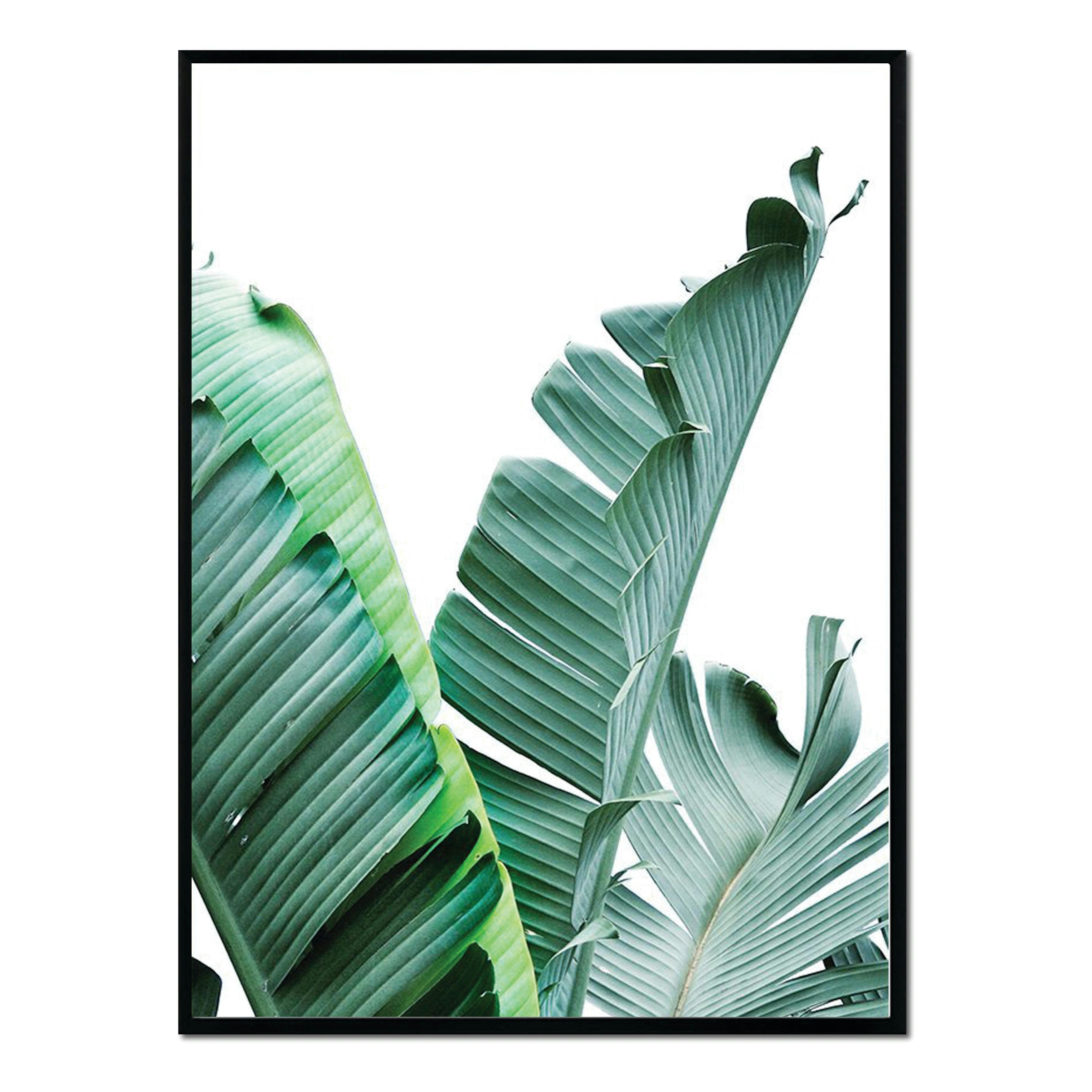 PALMERAS - Affiche avec cadre noir - Feuille de palmier - 30x40