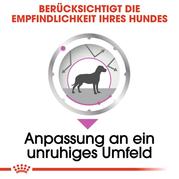 Hunde-Nassfutter »CCN Relax Care«, 85 g
