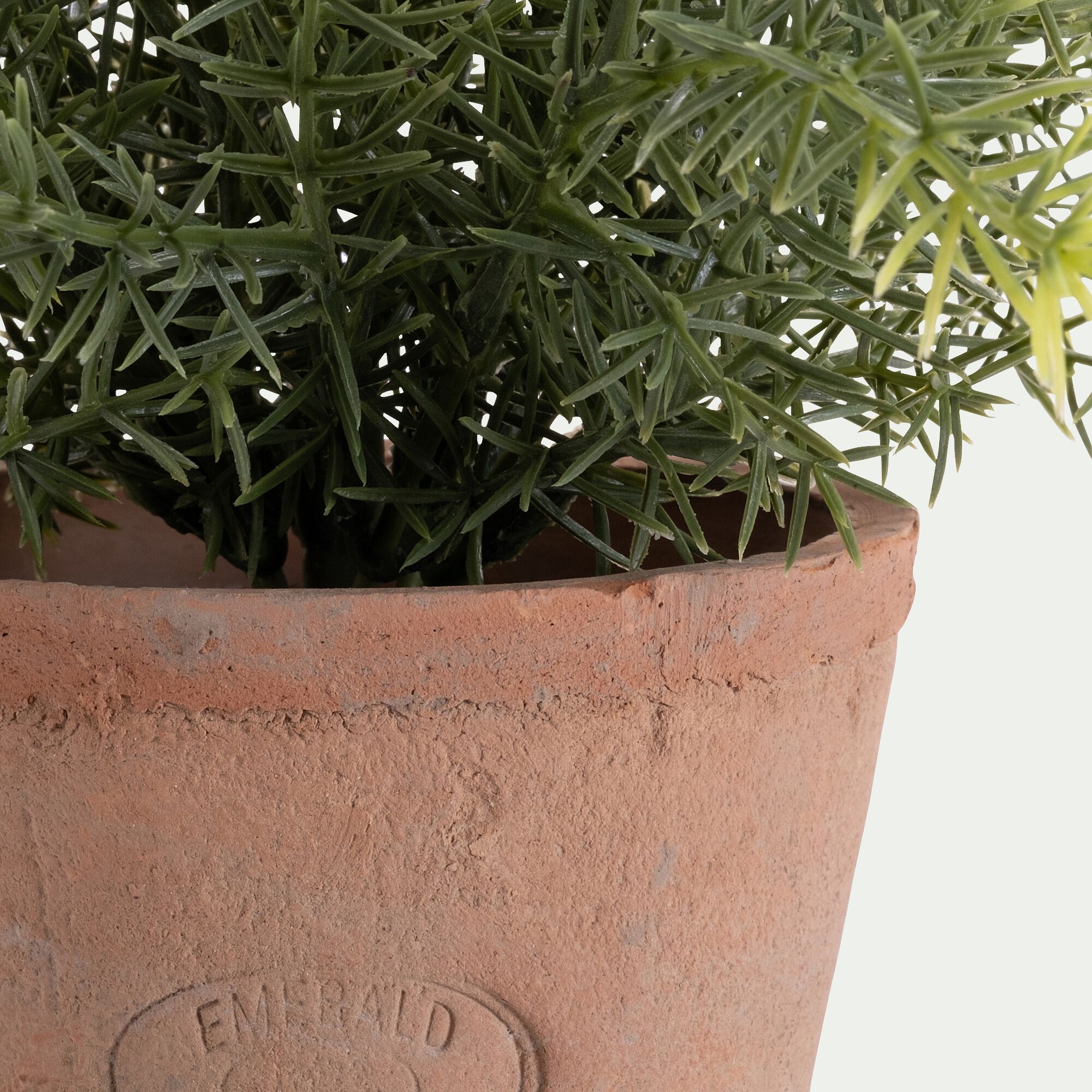 MAUNE - Asparagus artificiel H22,5cm - vert