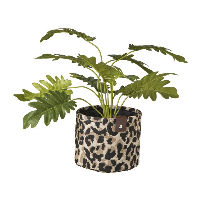 Mand luipaard - bruin/zwart - &Oslash;16x13 cm