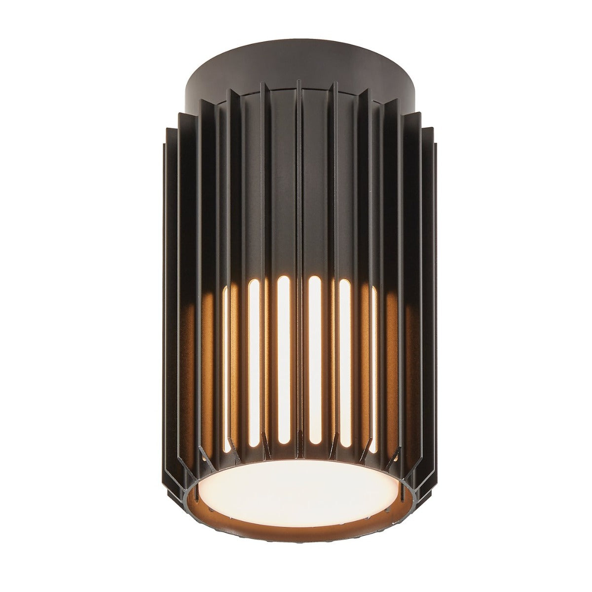 Aludra | Plafond lamp | Zwart