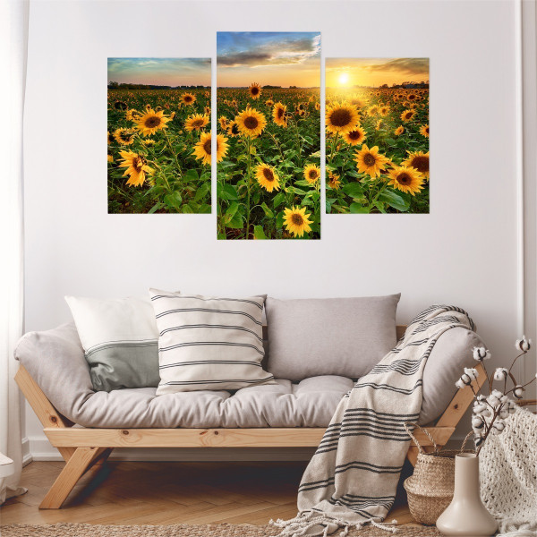Obraz Tryptyk SŁONECZNIKOWE Pole Pejzaż 3D 60x40cm