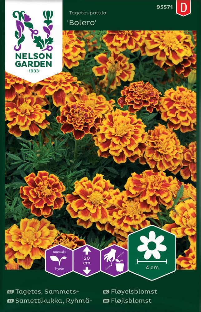 BLOMSTERFRØ NELSON GARDEN FLØYELSBLOMST BOLERO