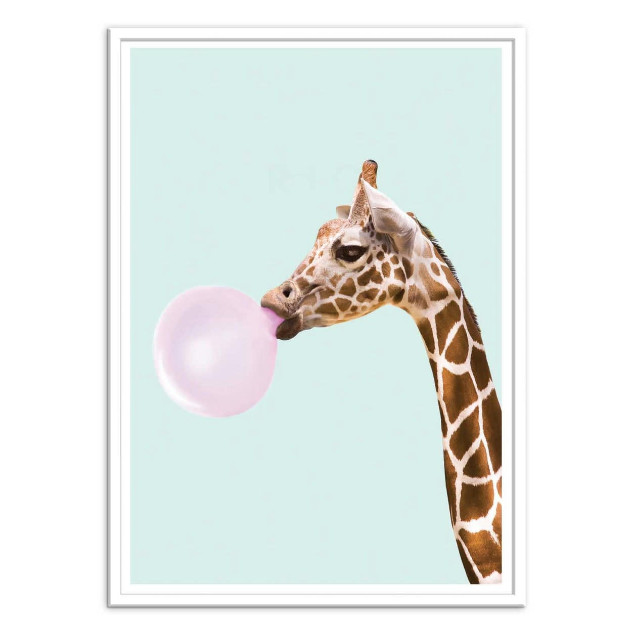 PAUL FUENTES - BUBBLEGUM GIRAFFE - Affiche d'art 50 x 70 cm