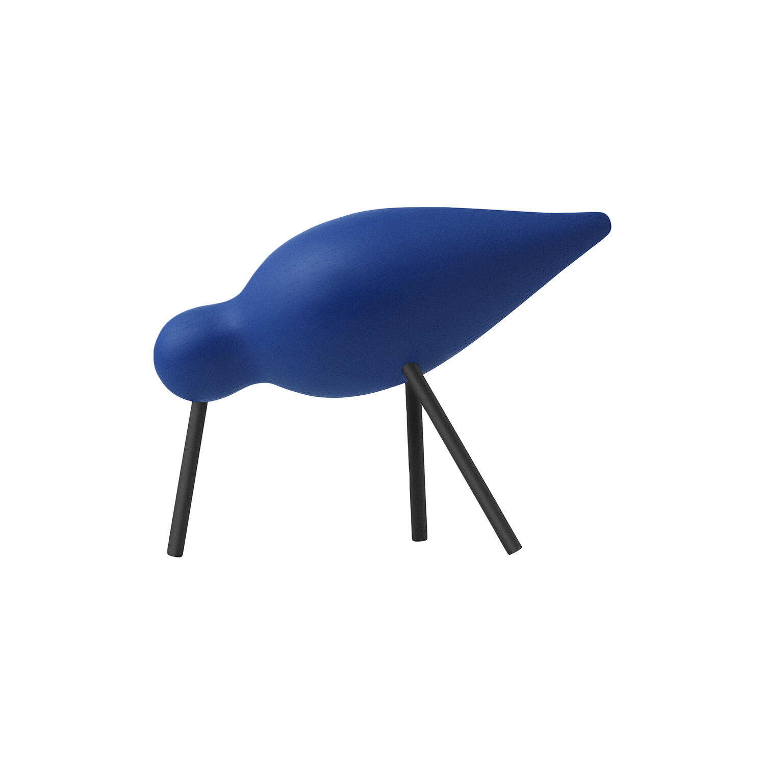 Shorebird, blue