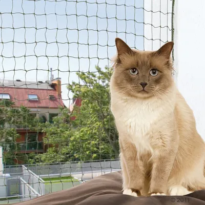 Trixie Bite Resistant Cat Net - Olive