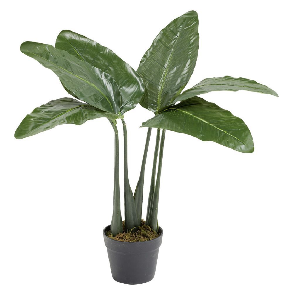 Plante oiseau du paradis artificiel Ø40xH75cm