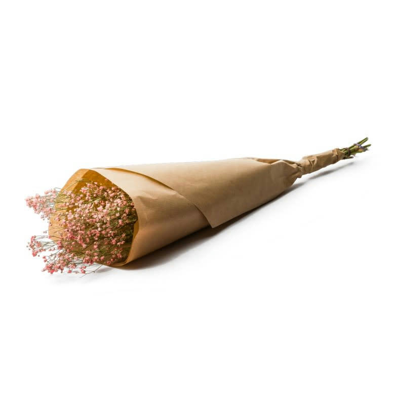 BFS - Botte Gypsophila Dried Pink