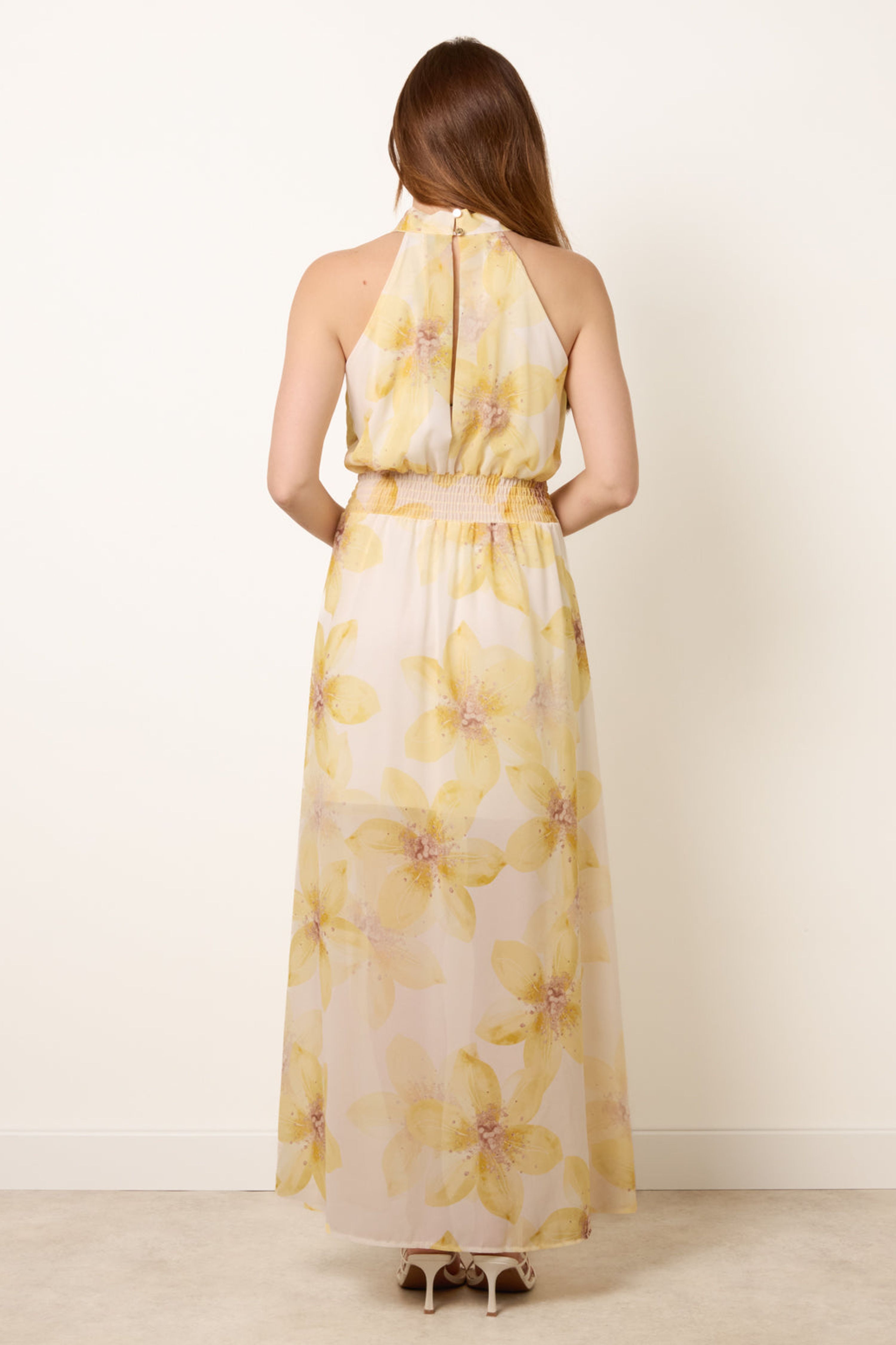 Blue Vanilla Lemon Floral Print Halter Neck Occasion Dress