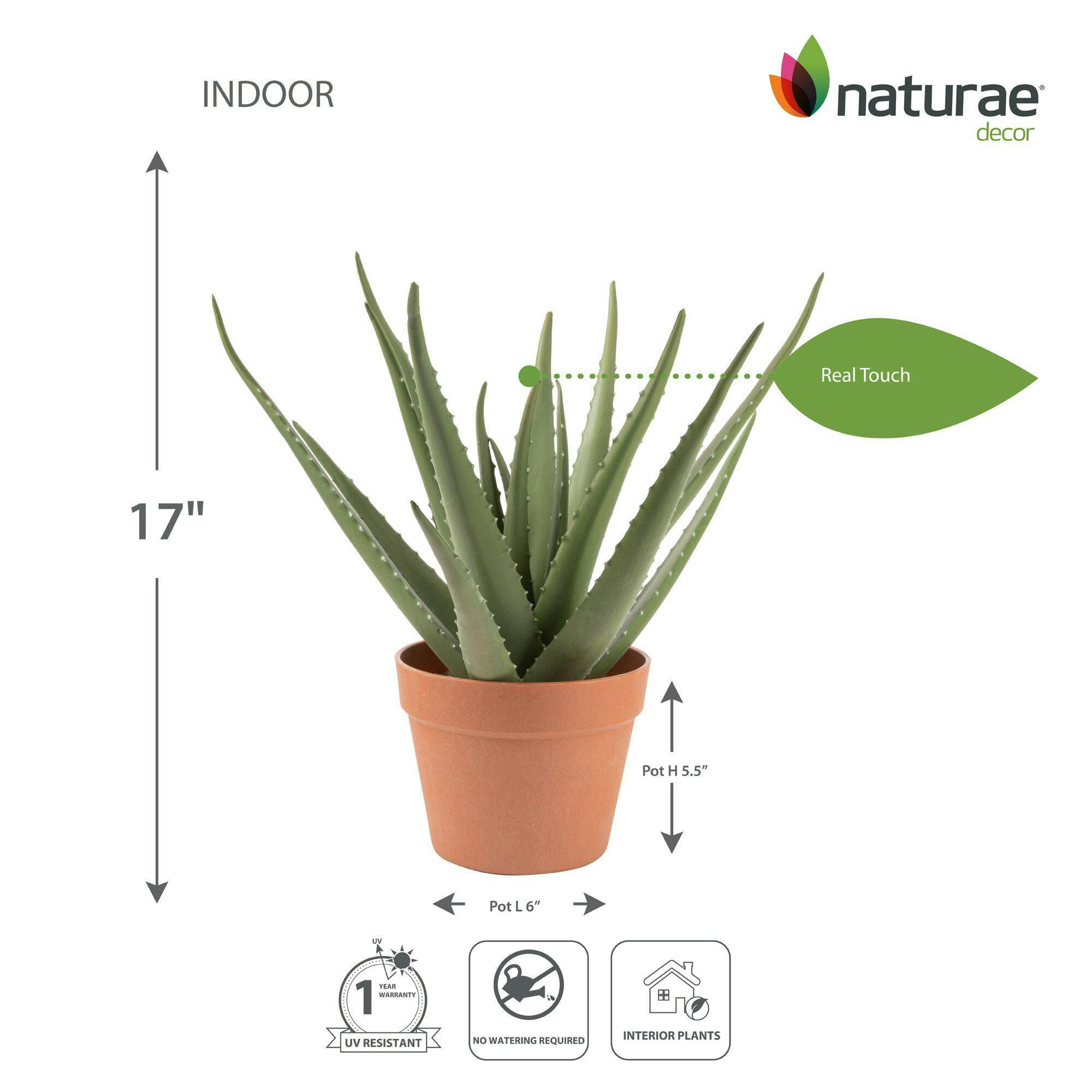 Naturae Décor Artificial Indoor Aloe Vera Plant in Terra Cotta Pot, 17-in