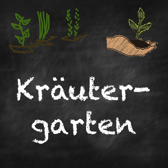 samenmaier Beet-Box 