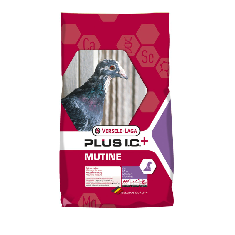 Mélange complet de mue pour pigeon Mutine 20 kg