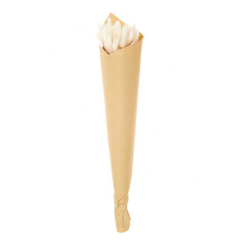 LAGURUS - Lagurus séchés blanc 45cm