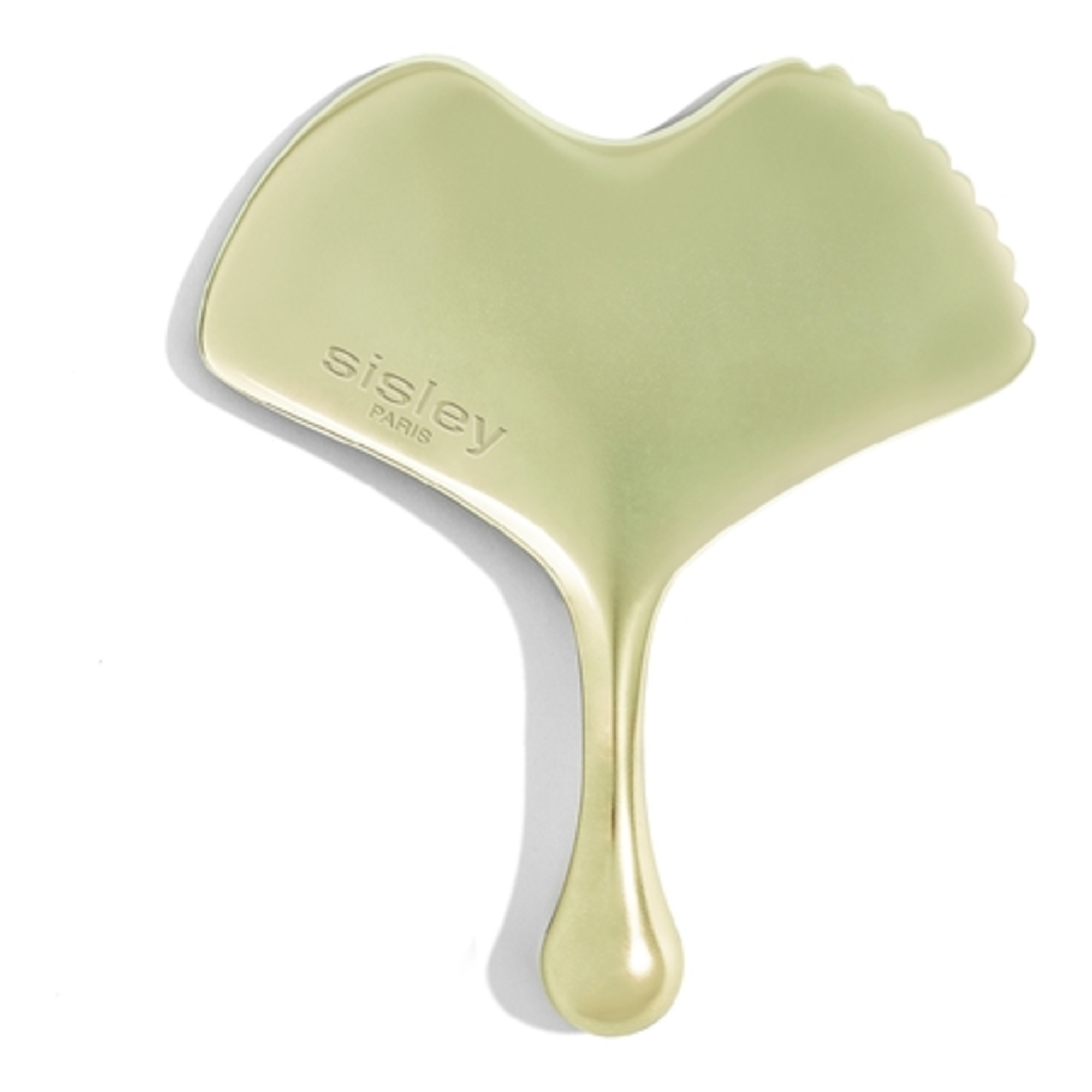 GINGKO GUA SHAOutil de massage anti-âge