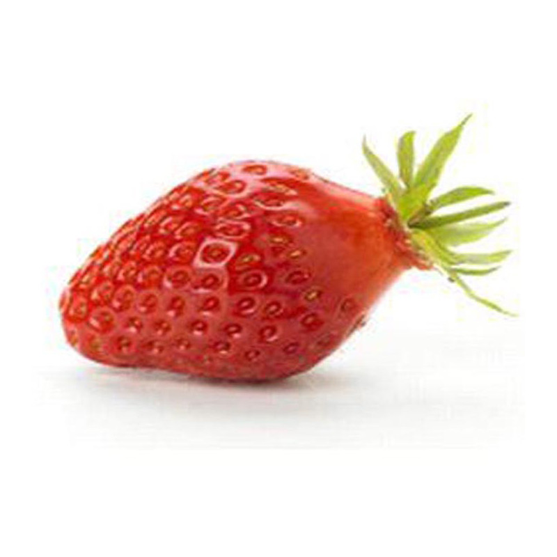 Fraisier Cirafine en pot