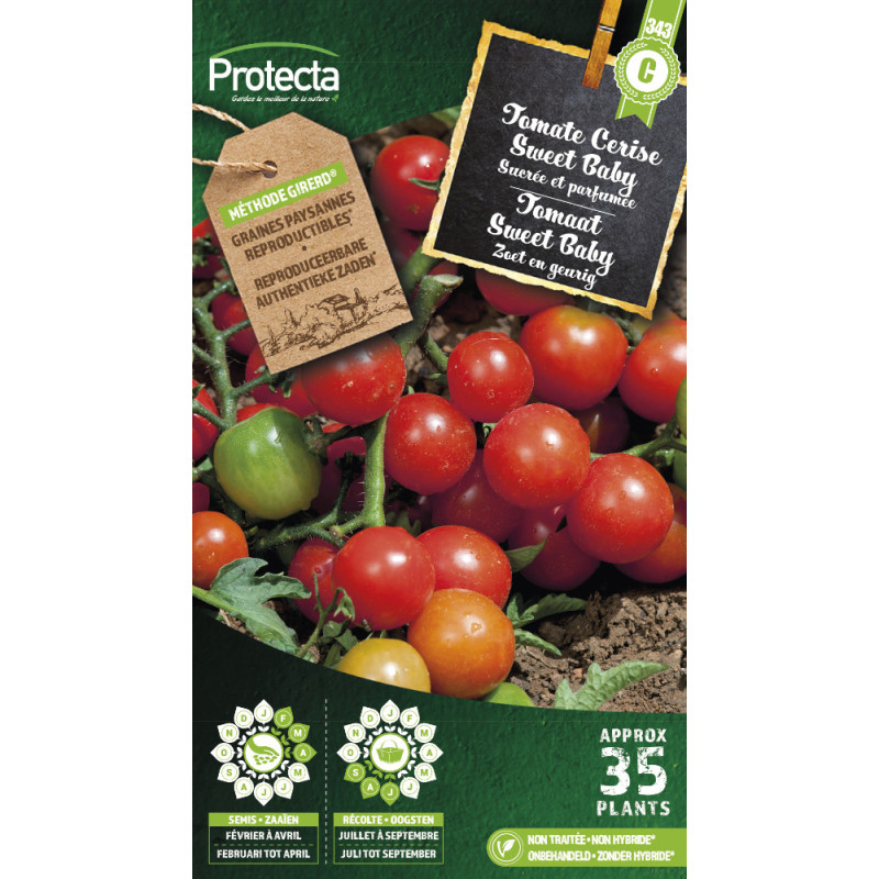 Semences de tomate Cerise Sweet Baby PROTECTA