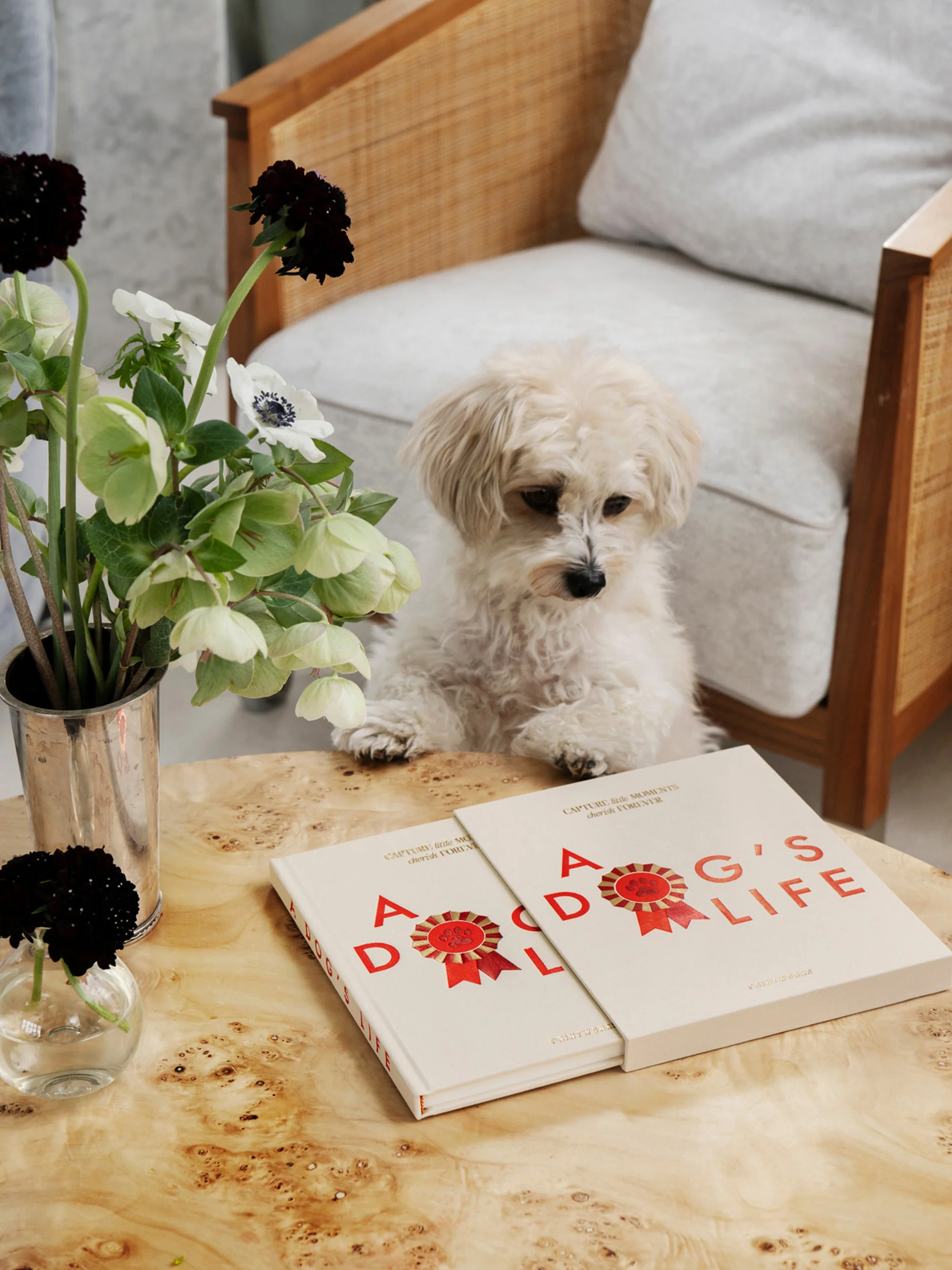 Hundejournal A Dog's Life