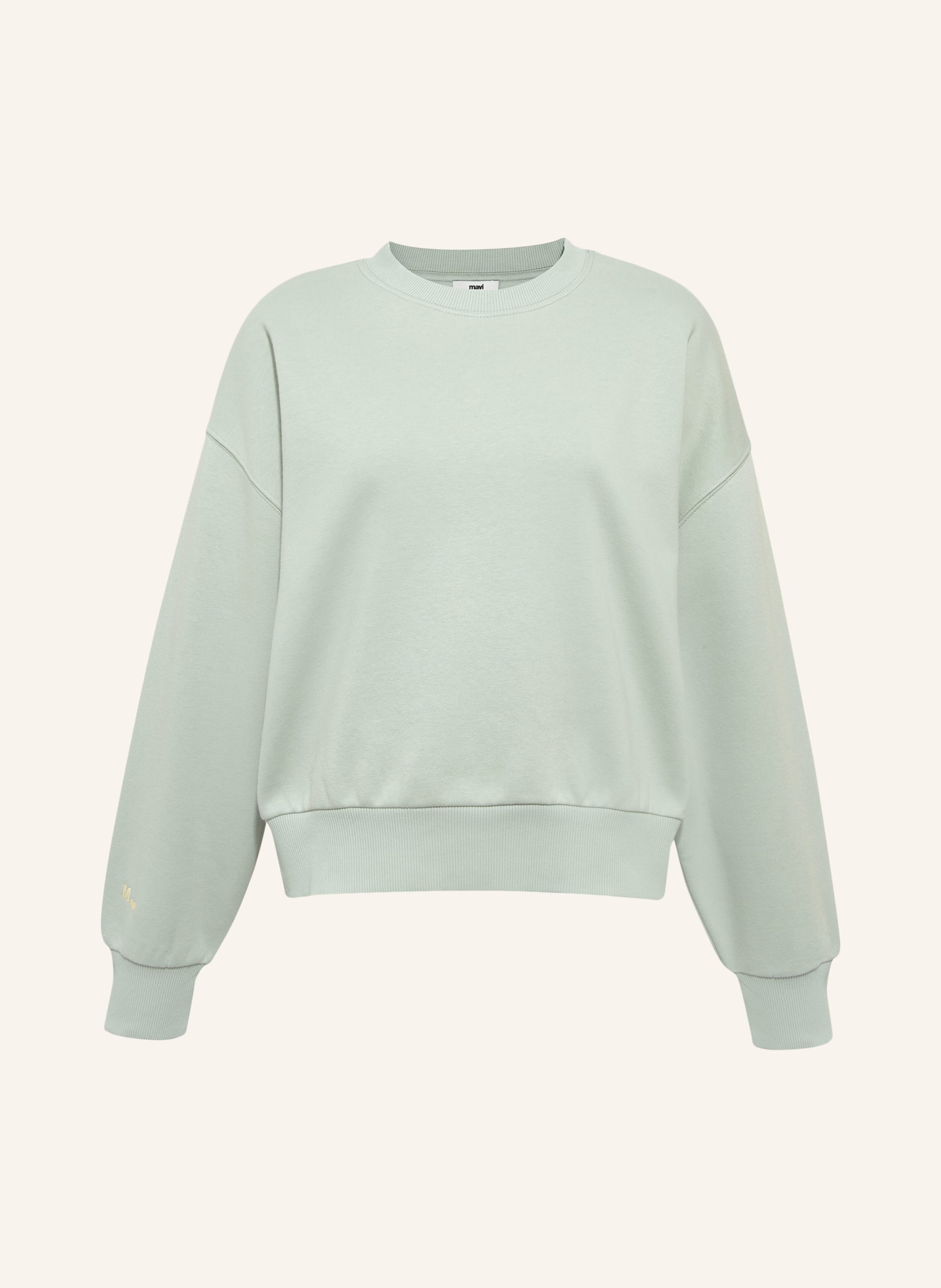 mavi Sweatshirt