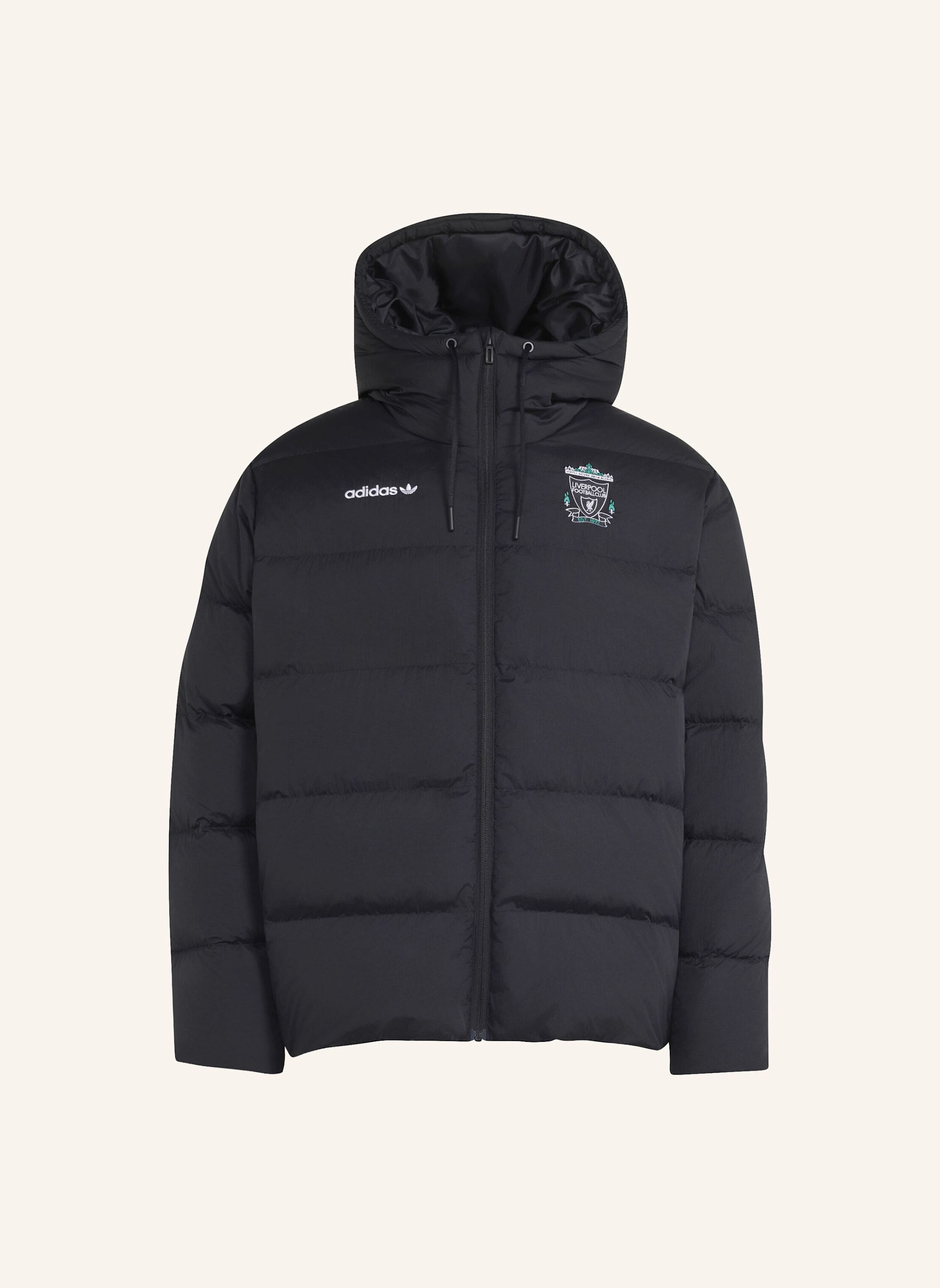 adidas LIVERPOOL FC EQT DAUNENJACKE