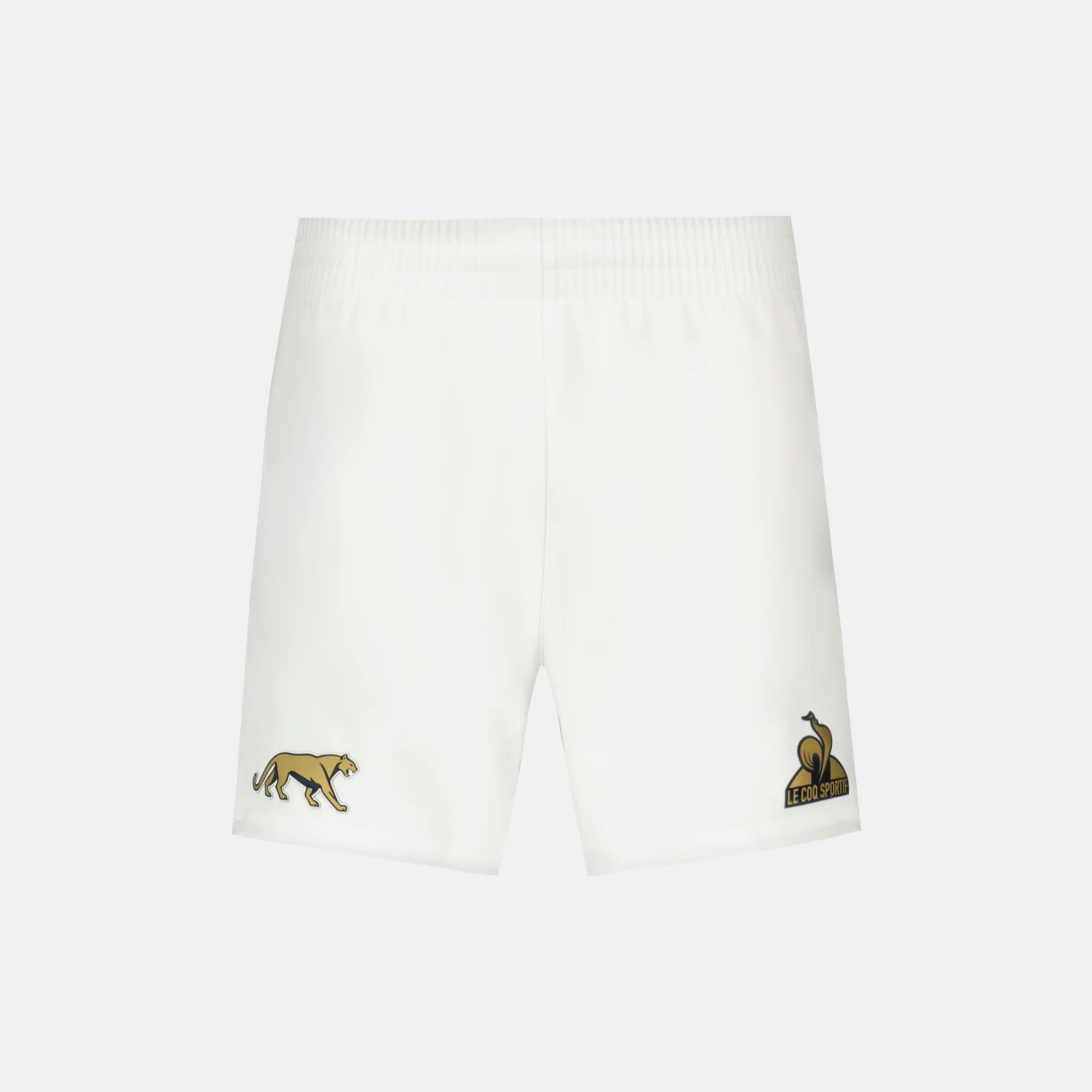 2510666-PUMAS XV Short Pro 24 N°2 M new optical | Short Homme