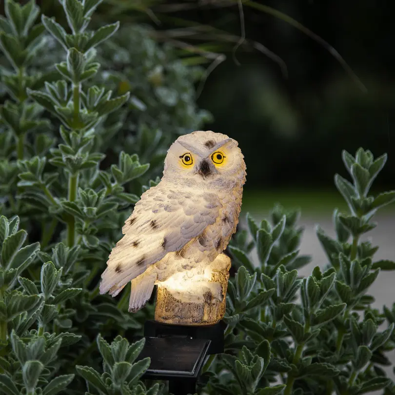 Solarleuchte Owl