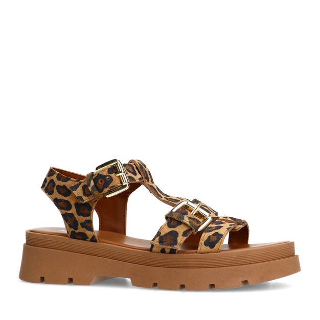 Leopard suède plateau sandalen met goudkleurige buckles