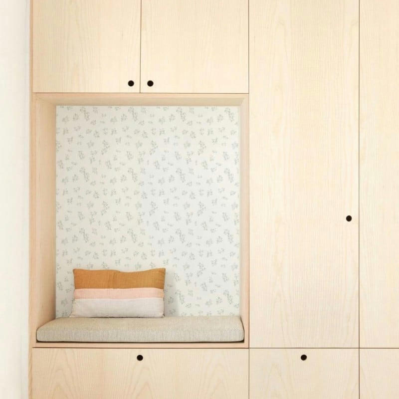 COTON BIO FIGUIER - Papier peint intissé imprimé figuier