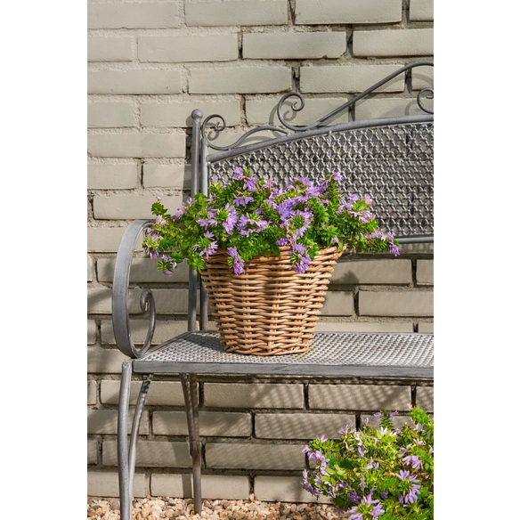 Korb, Rattan, HxD 20x29 cm, grau
