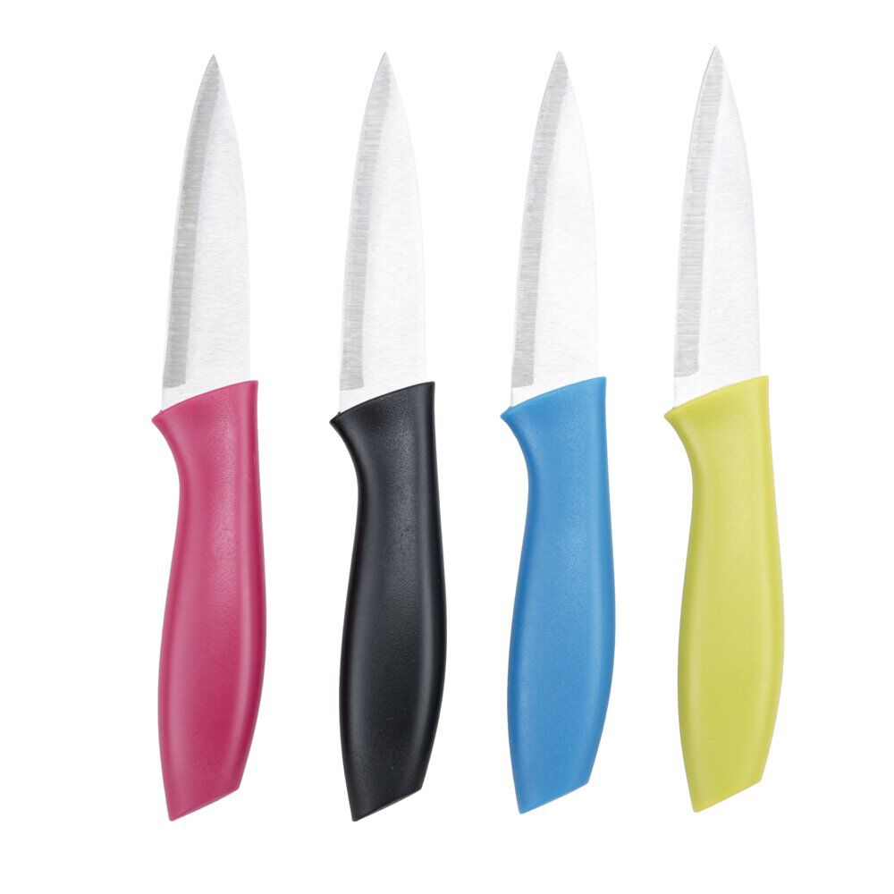 Couteau de cuisine x4 lame inox manche plastique coloré et étuis L19,5cm