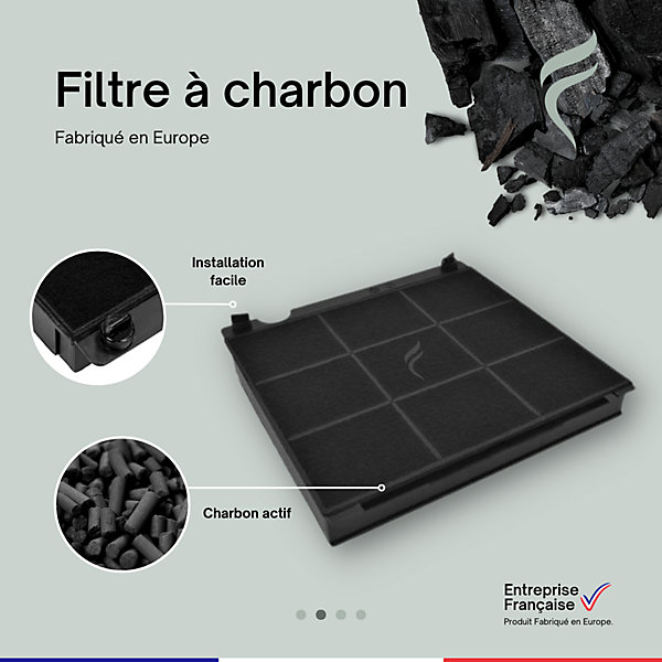 Filtre à Charbon Hotte Electrolux Type 15 (E3CFE15)