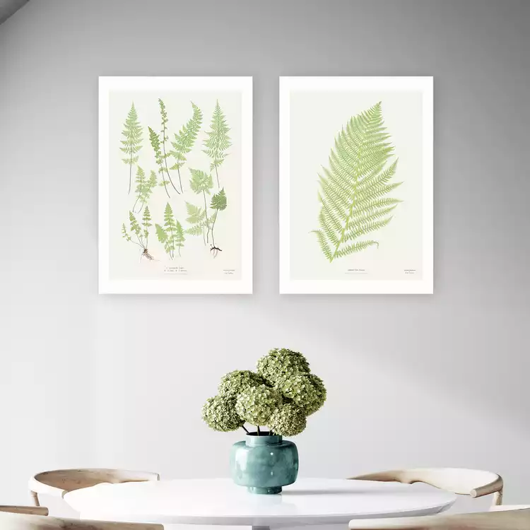 East End Prints Botan Vintage Art Print - A3