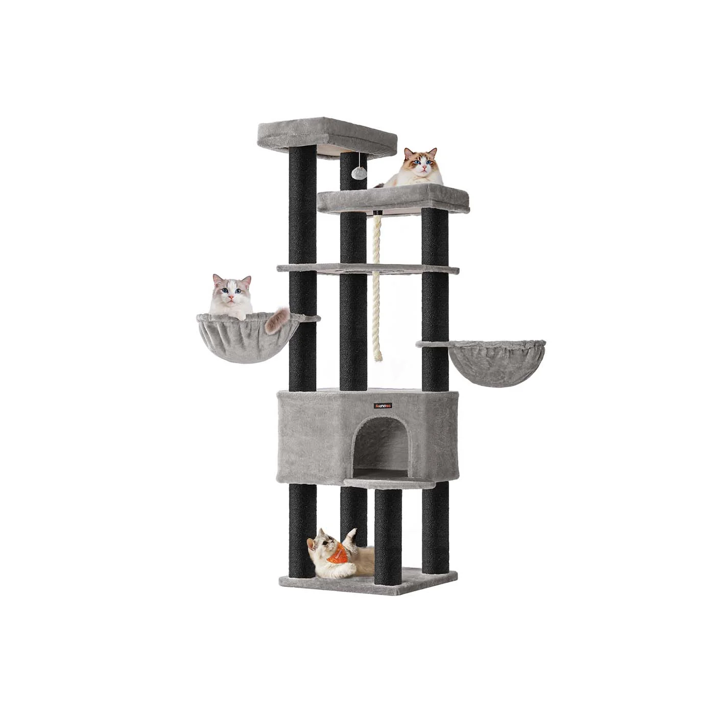 Arbre à chat spacieux à plusieurs niveaux