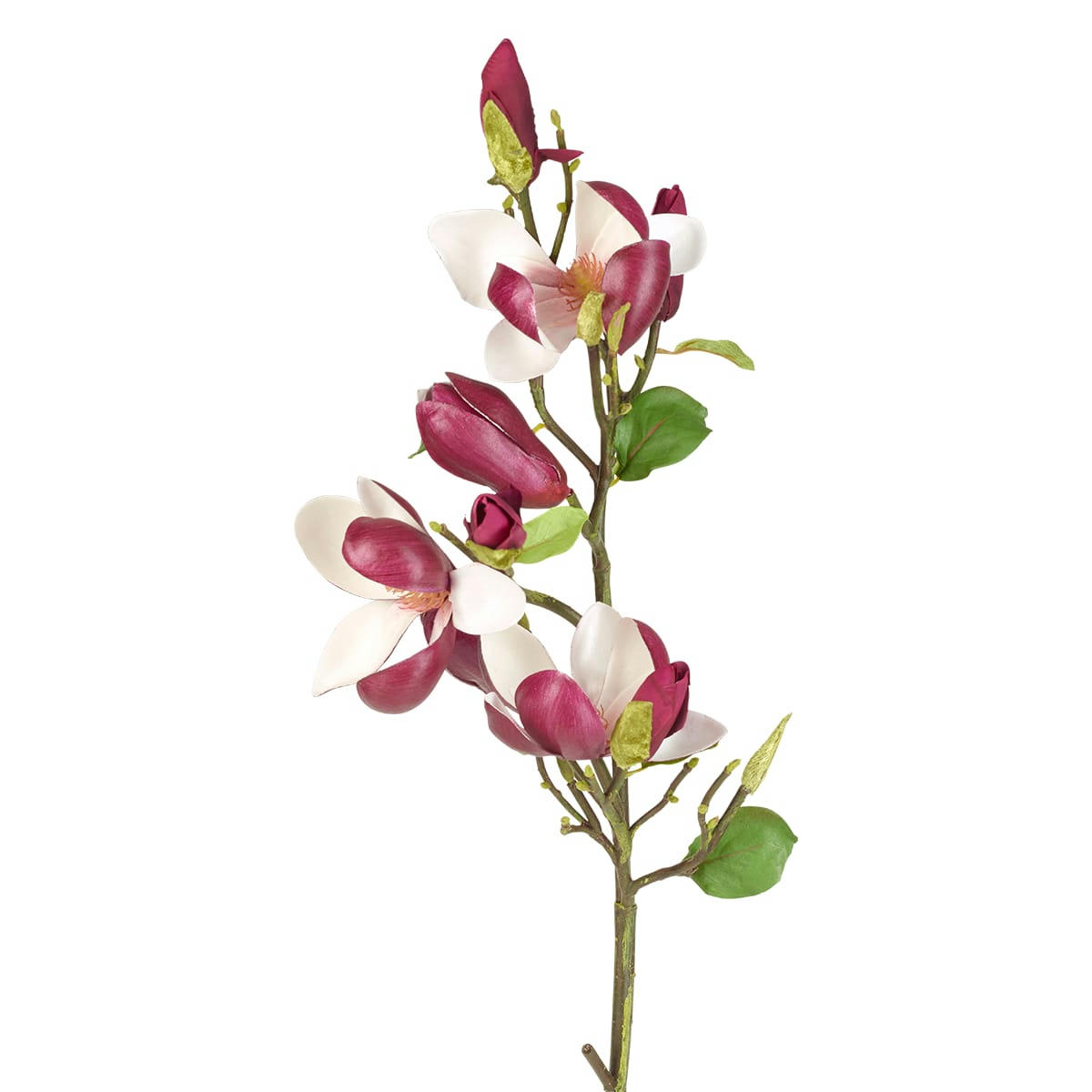 - Magnolia en bourgeons H80cm