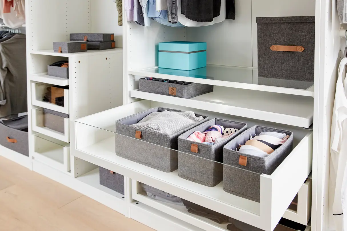 Organizer Premium