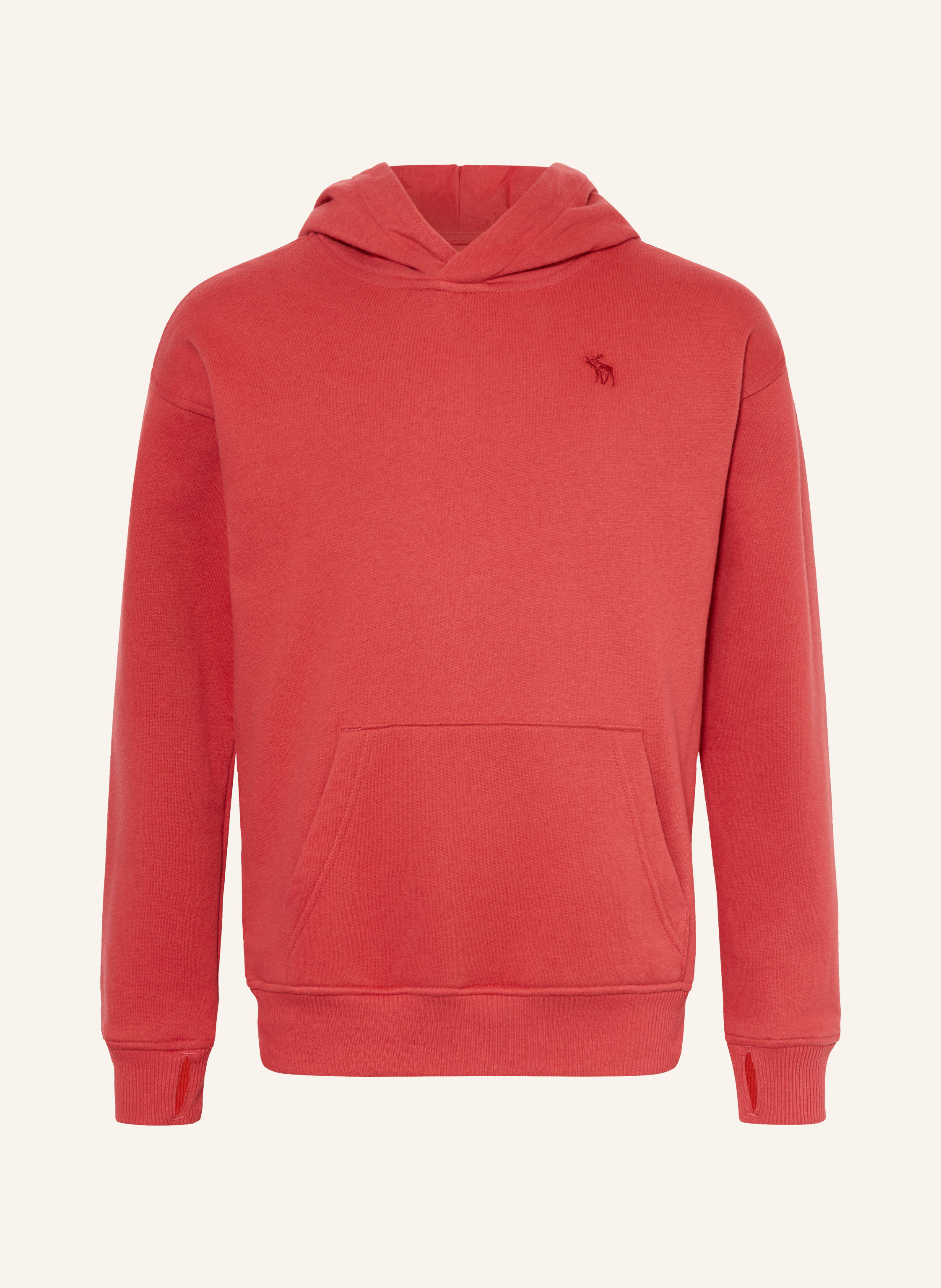 Abercrombie & Fitch Hoodie