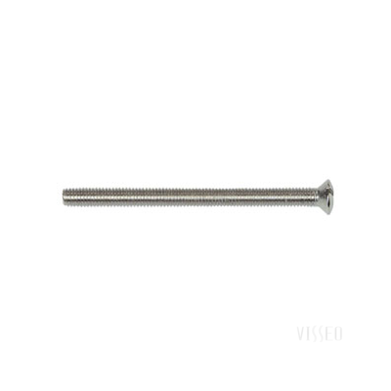 Vis pour crépine M6 x 80 mm SANINSTAL