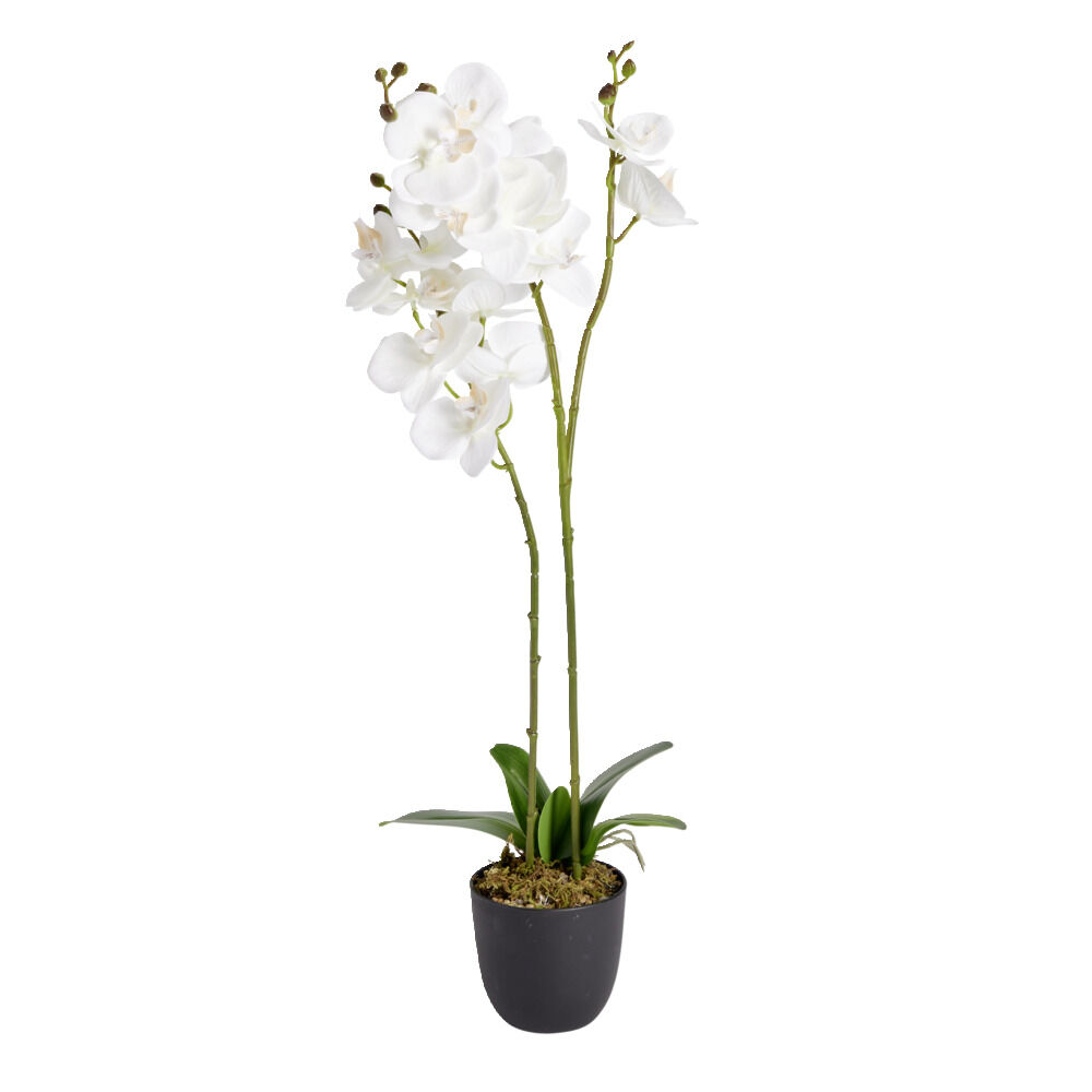 Fleurs artificielles en pot orchidée blanche Ø11xH50cm