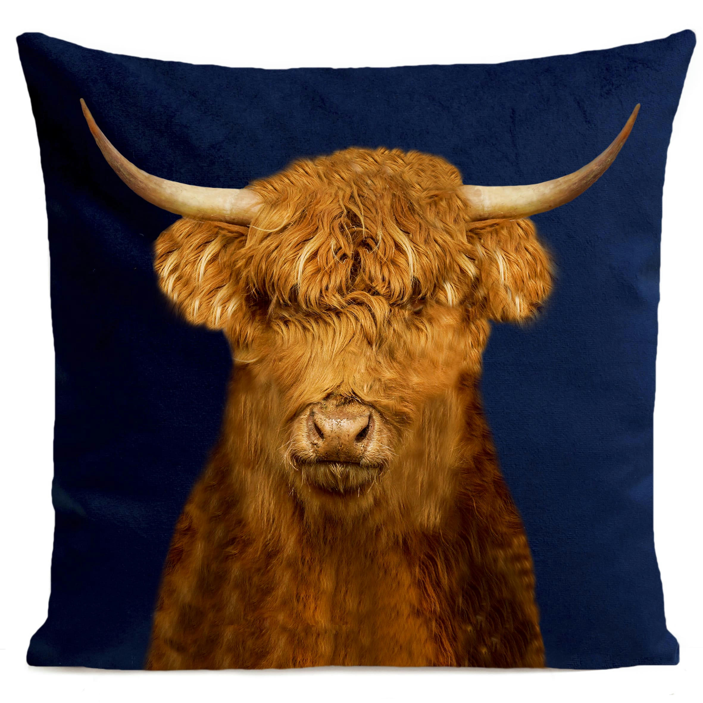 - Coussin automne velours bleu 40x40cm