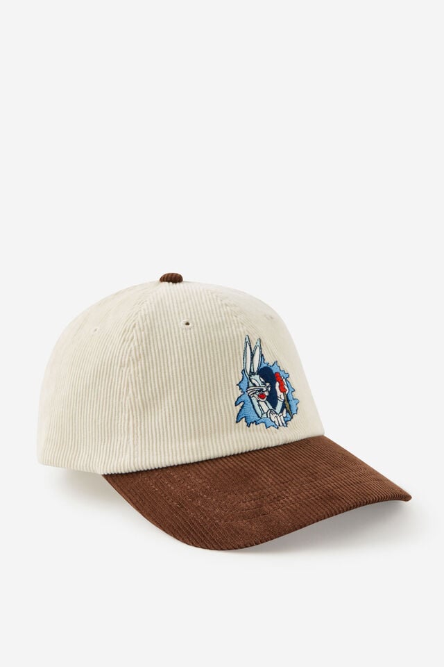 Looney Tunes Dad Cap