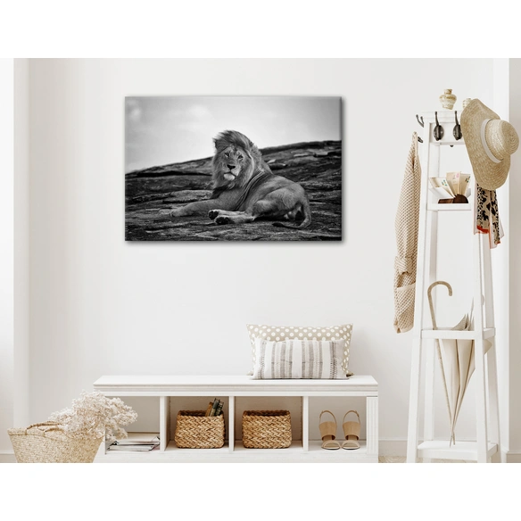 Keilrahmenbild, ca. 60x90 cm, Motiv: 609866