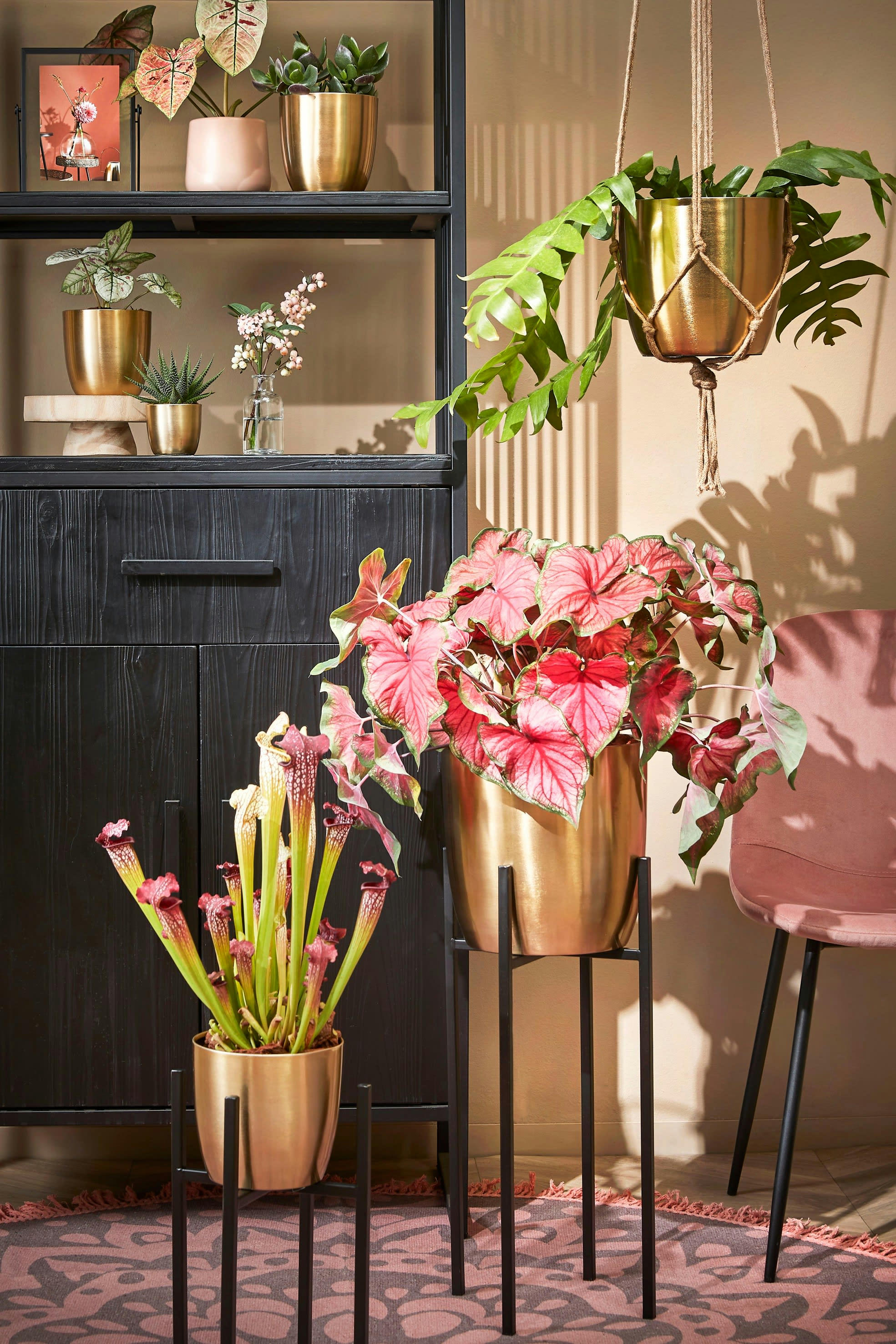 ASCOT - Porte-plante en métal noir H50