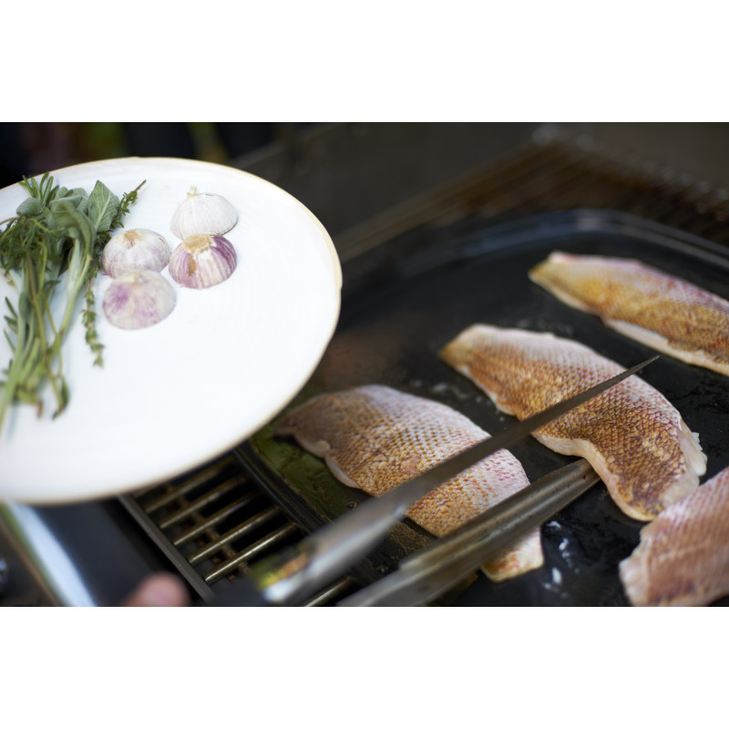 Plancha en céramique grand modèle GBS WEBER
