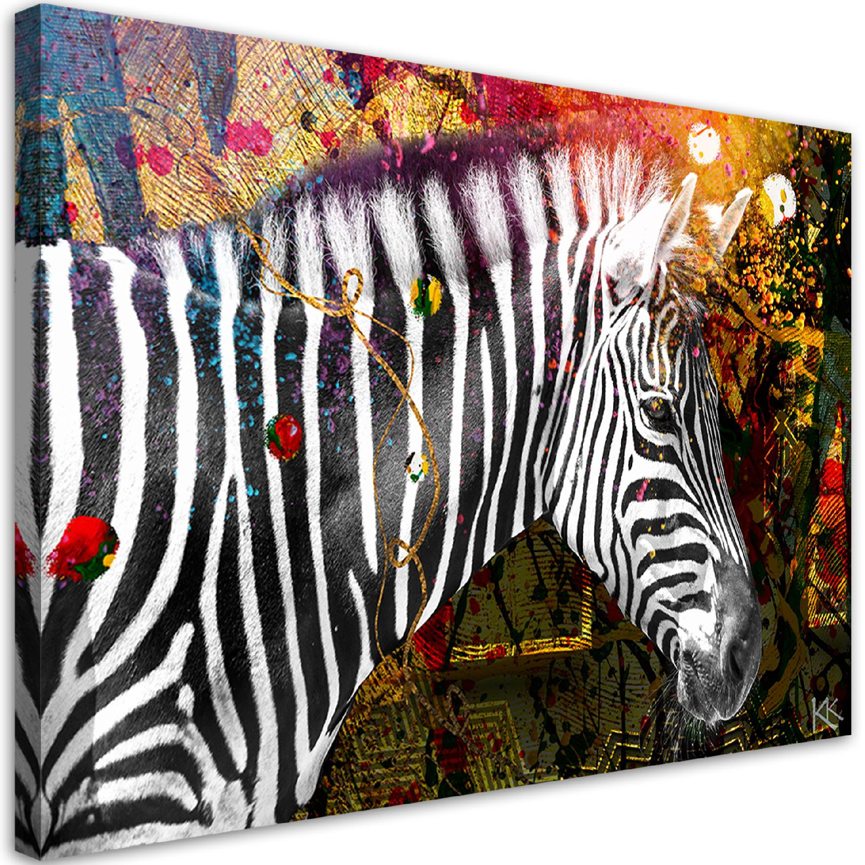 Feeby Obraz na płótnie, Zebra na kolorowym tle 60x40