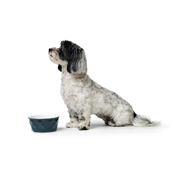 Futternapf »Eiby«, Keramik, blau, 1,9 l