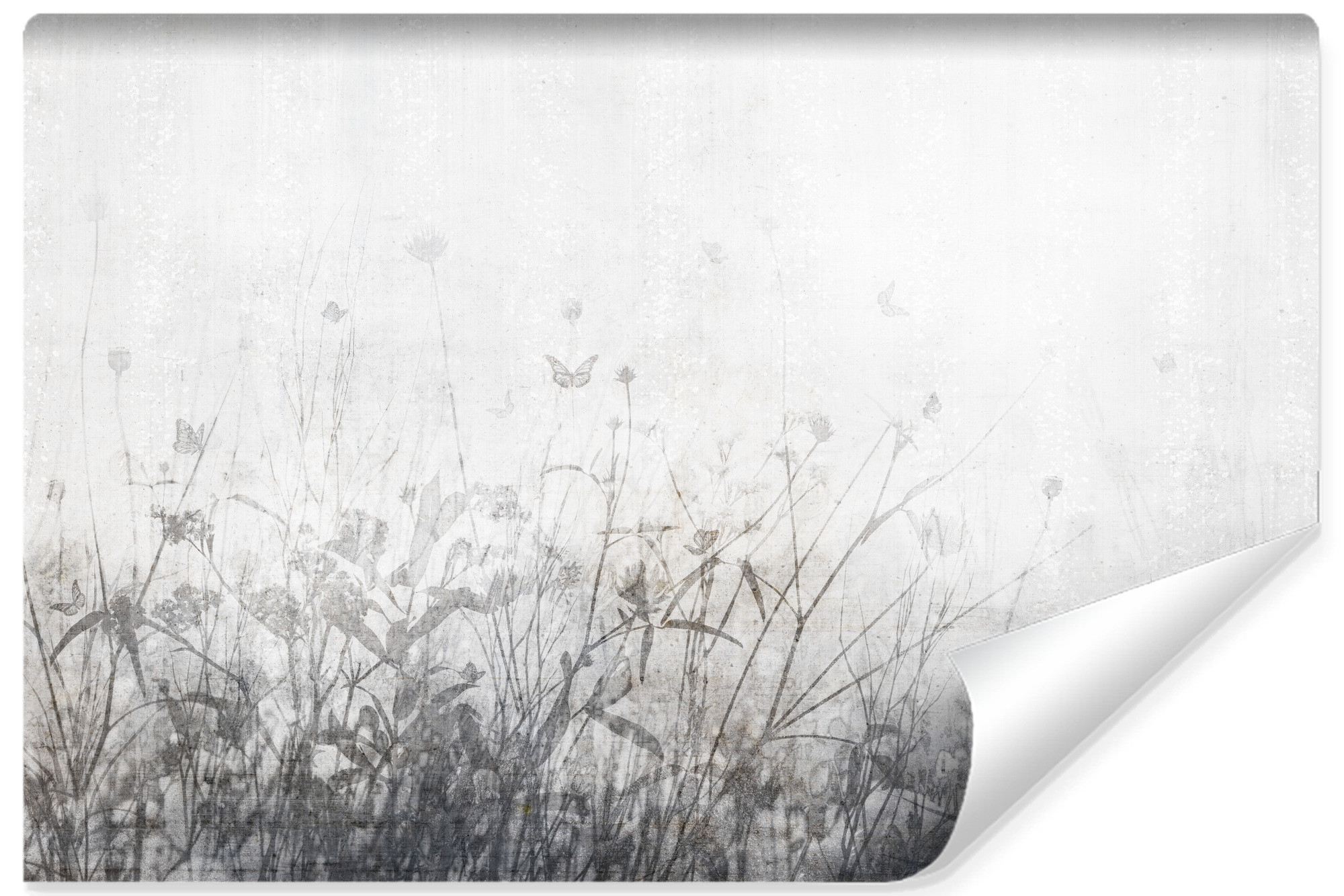 Fototapeta Abstrakcyjne Kwiaty Na Betonie 90x60cm